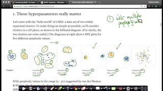 How to apply tSNE and interpret its output Dimensionality reduction Lecture 25 Applied AI Course [upl. by Anaizit]