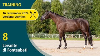 No 8 Levante di Fonteabeti by Glamourdale  Training  Verden Auction Online  November 16th [upl. by Atirehc]