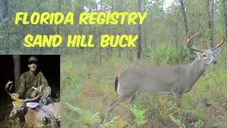 Hunting Registry Bucks on Public Land  Florida Scrub Hunting with Chase Campbell [upl. by Siroved922]