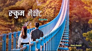 Rukum Maikota💗💐 New Nepali Romantic Song  SlowReverb   Ft Dhiraj Magar Upasana Singh Thakuri [upl. by Gayleen]