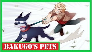 Bakugos Pets My Hero Academia Comic Dub [upl. by Sabba624]