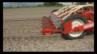 MASCHIO GASPARDO  OLIMPIA Seminatrice per ortaggi Precision Planter [upl. by Damales789]