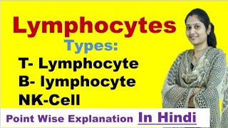 Lymphocytes in Hindi  Types of Lymphocytes  B cells  T cells  NK cells  Immune cell [upl. by Ion297]