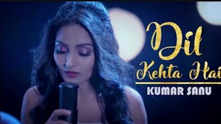 Dil kehta hai female version lyrics [upl. by Kyle]