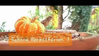 Schöne Herbstferien [upl. by Teraj]