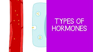 52 Types of Hormones [upl. by Sirrah]