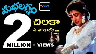 Chilaka Ye Thodu Leka Video Song  Subhalagnam Movie  Jagapathi Babu Aamani Roja  TVNXT [upl. by Anilorak]