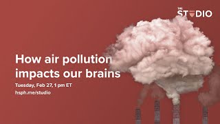 How air pollution impacts our brains [upl. by Nap]