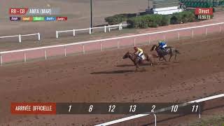 Live Hippodrome « CASABLANCA »  Courses du «23092024 » [upl. by Nedla]