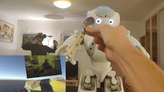 Teleoperated Naorobot through VRinterface [upl. by Gonick31]