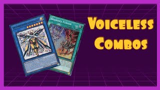 Voiceless Voice Combo Guide PostLEDE [upl. by Cummine]