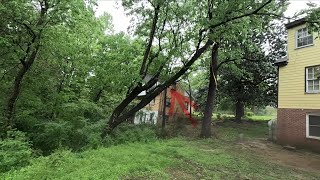 Emergency job tree was about to destroy this house [upl. by Yahsel]