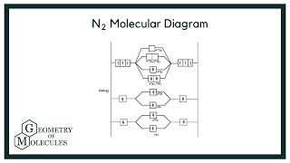 Molecular Orbital MO Diagram of N2 [upl. by Elik]