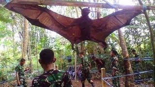 GIANT BAT CAPTURED WHAT IS IT [upl. by Stern]