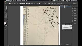 Illustrator 2021  Tutorial 06  Freehand Illustration Techniques [upl. by Behre]