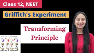 Griffiths Experiment  Class 12  NEET Biology [upl. by Gulgee]