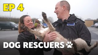 The Dog Rescuers Episode 4  Service Dogs  Full Documentary [upl. by Assilym]