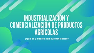 Industrialización y Comercialización de productos agrícolas ¿Qué es y cuáles son sus funciones [upl. by Lenwood]