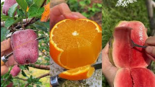 Fruit Cutting Techniques You Didnt Know Existed [upl. by Wesa]