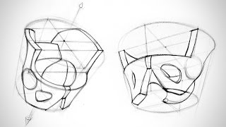 How to Draw the Pelvis from Any Angle  Human Anatomy for Artists [upl. by Eiluj]