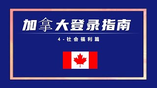 加拿大登录指南第四期：社会福利篇 [upl. by Carson]