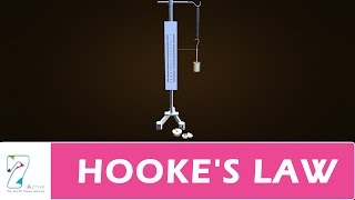 HOOKES LAW [upl. by Hadleigh]