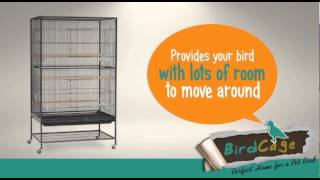 Prevue Pet Products Wrought Iron Flight Cage Review [upl. by Nuahsyar]