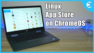 How to get Linux App Store on Chromebook [upl. by Emilee696]