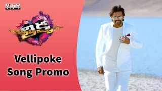 Vellipoke Song Promo  Sai Dharam Tej Larissa Bonesi Mannara Chopra  Rohin Reddy SS Thaman [upl. by Ahsila654]