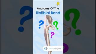 Understanding IT Band Syndrome Causes Symptoms and Remedies [upl. by Lais]