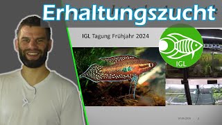 Erhaltungszucht in der Aquaristik  Inzucht Diversität Genetik 🐟 Vortrag IGLTagung Frühjahr 2024 [upl. by Nythsa484]