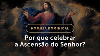 Homilia  Por que celebrar a Ascensão do Senhor Solenidade da Ascensão do Senhor [upl. by Onileva]