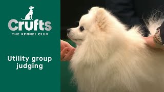 Group Judging Utility and Presentation  Crufts 2023 [upl. by Iris]