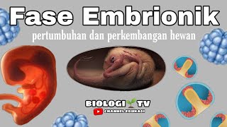 Fase embrionik pertumbuhan dan perkembangan pada hewan  materi biologi sma kelas 12 [upl. by Emma]