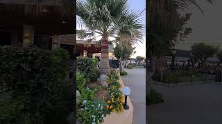 Kreta Крит Греция наш отель вечером Anissa Beach Hotel [upl. by Kenyon]