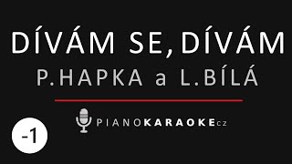 Lucie Bílá amp Petr Hapka  Dívám se dívám Nižší tónina  Piano Karaoke Instrumental [upl. by Nilyram]