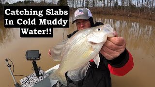 How to Catch BIg Crappie in Cold Muddy Water [upl. by Lebazej]