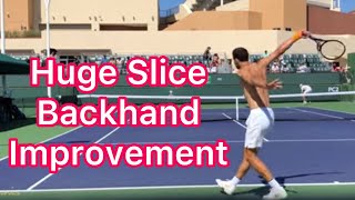 3 Awesome Slice Backhand Tips Grigor Dimitrov Tennis Technique [upl. by Dinnage216]