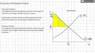 Consumer Surplus and Producer Surplus [upl. by Aitnuahs]