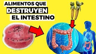 8 alimentos que DESTRUYEN TU INTESTINO y flora intestinal y qué es bueno para el intestino [upl. by Nevarc]