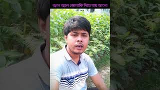 জ্বলে জ্বলে জোনাকি দিয়ে যায় আলো [upl. by Eppillihp]