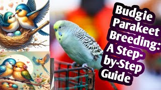 Budgie Parakeet Breeding A StepbyStep Guide  Didar Aviary [upl. by Gina]