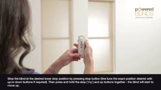 Motorised Roller Blind  Reset Procedure [upl. by Eiralav]