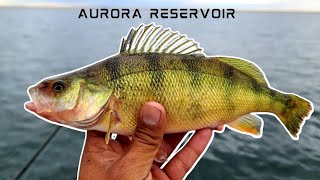 Multi Species Fishing Aurora ReservoirAurora CO [upl. by Atiugal870]