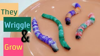 Tissue paper worms Growing wriggly worms Science experiment for kids Stepbystep tutorial [upl. by Franza715]