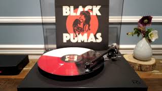 Black Pumas  Colors Vinyl Tonic [upl. by Wehner]