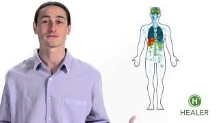 Your Endocannabinoid System Explained [upl. by Nayllij]