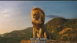 THE LION KINGSIMBA sub indo [upl. by Janetta]