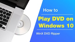 How to Play DVD on Windows 10 for Free 2 Ways [upl. by Tempa]