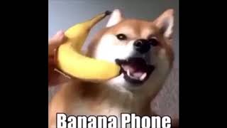 Ring ring ring banana phone 10 hours [upl. by Goth]